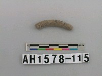 藏品(灰色泥質陶環殘件)的圖片